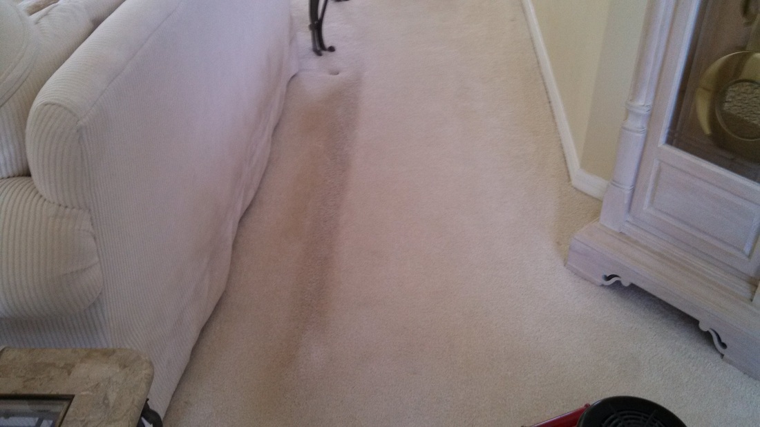 hoppecarpet Blog JOEL HOPPE CARPET & TILE CLEANING NAPLES FLORIDA 239